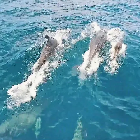 شقة Bohol 2